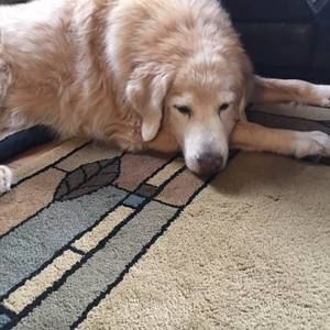 Meet your Posher, Leigh